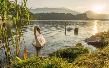 Free Photo of nature, landscape, lake