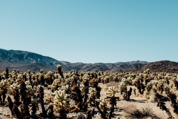 Free Photo of nature, landscape, mountain