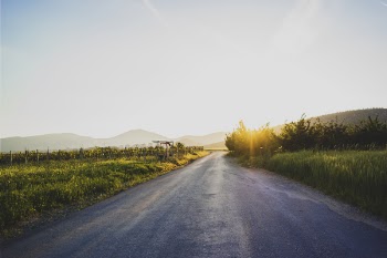Free Photo of nature, landscape, paths