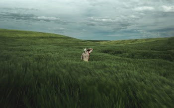 Free Photo of nature, landscape, people