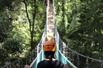 Free Photo of nature, landscape, people