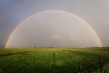 Free Photo of nature, landscape, plains