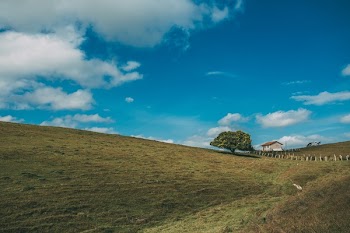 Free Photo of nature, landscape, plains