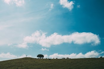 Free Photo of nature, landscape, plains