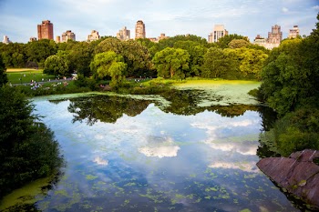 Free Photo of nature, landscape, river