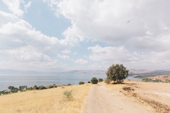 Free Photo of nature, landscape, roads