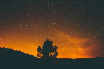 Free Photo of nature, landscape, shadow