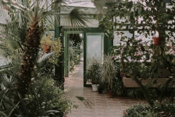 Free Photo of nature, landscape, shop