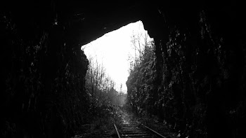 Free Photo of nature, landscape, train