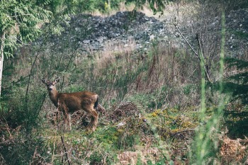 Free Photo of nature, landscape, travel