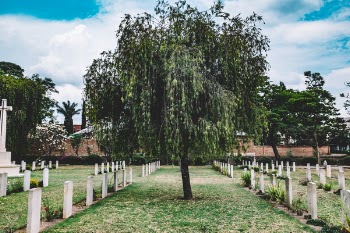 Free Photo of nature, landscape, trees
