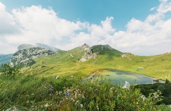 Free Photo of nature, landscape, trees