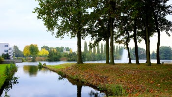 Free Photo of nature, landscape, trees