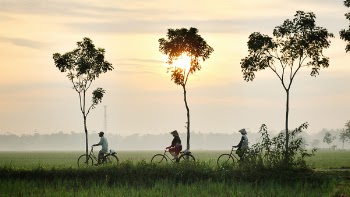 Free Photo of nature, landscape, trees