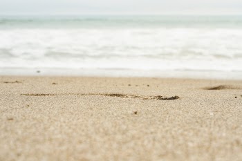 Free Photo of nature, landscape, water