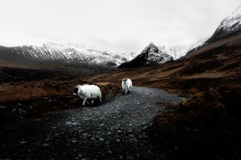 Free Photo of nature, mountains, snow