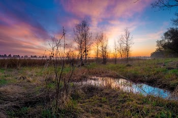 Free Photo of nature, plains, grass