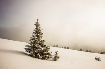 Free Photo of nature, plains, snow