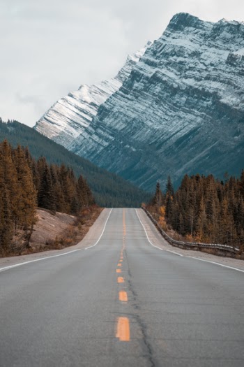 Free Photo of nature, road, highway