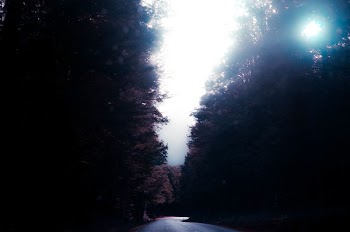 Free Photo of nature, road, paths