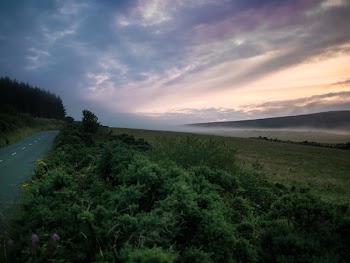 Free Photo of nature, roads, paths