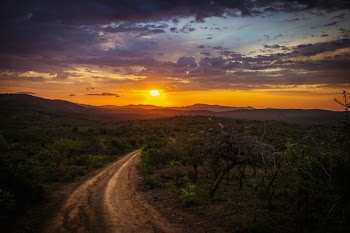 Free Photo of nature, roads, paths