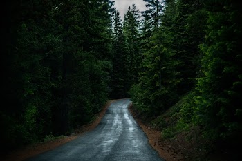 Free Photo of nature, roads, paths