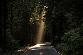 Free Photo of nature, roads, paths
