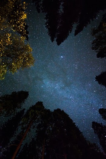 Free Photo of nature, sky, night