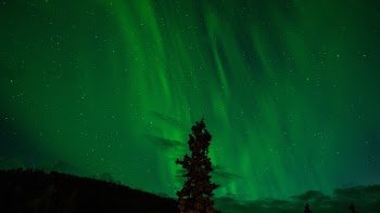 Free Photo of nature, sky, night