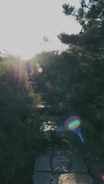 Free Photo of nature, stairs, rocks