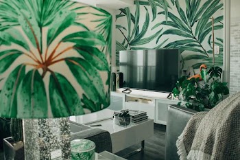 Free Photo of nature, theme, room