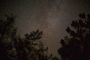 Free Photo of nature, trees, galaxies