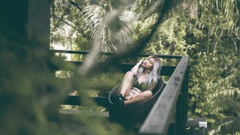 Free Photo of nature, trees, green