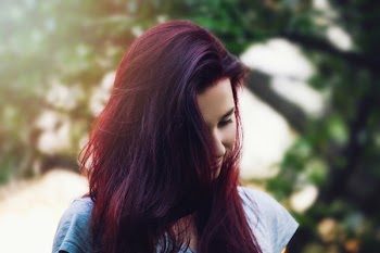 Free Photo of nature, trees, people