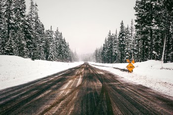 Free Photo of nature, trees, road