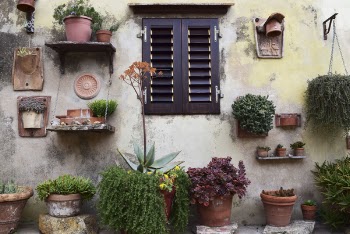 Free Photo of nature, wall, windows