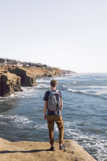 Free Photo of nature, water, edge