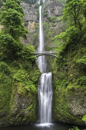 Free Photo of nature, water, falls