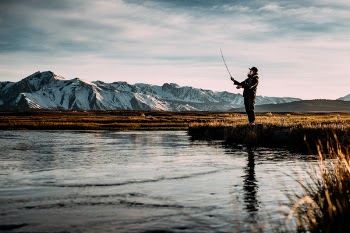 Free Photo of nature, water, lake