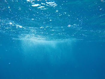 Free Photo of nature, water, ocean