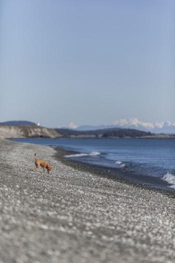 Free Photo of nature, water, ocean