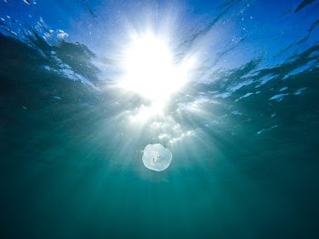 Free Photo of nature, water, ocean