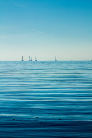 Free Photo of nature, water, ocean