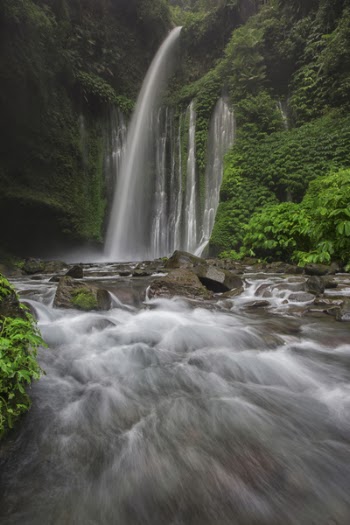 Free Photo of nature, water, raging