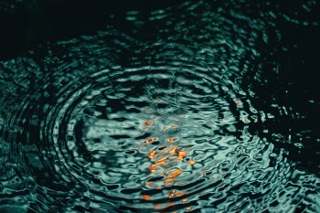 Free Photo of nature, water, ripples