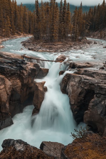 Free Photo of nature, water, river