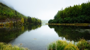 Free Photo of nature, water, river