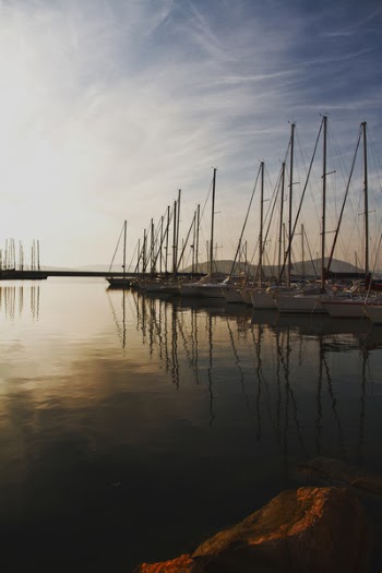 Free Photo of nature, water, river