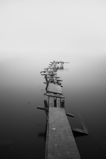Free Photo of nature, water, still